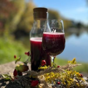 PRODEJ VÍNA HOLÁNEK