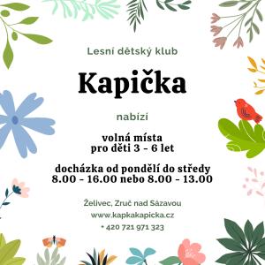 LESNÍ ŠKOLKA KAPIČKA