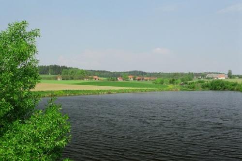 Čentice a&nbsp;rybník Polexina
